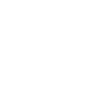 A Robust Shield for Maritime Security