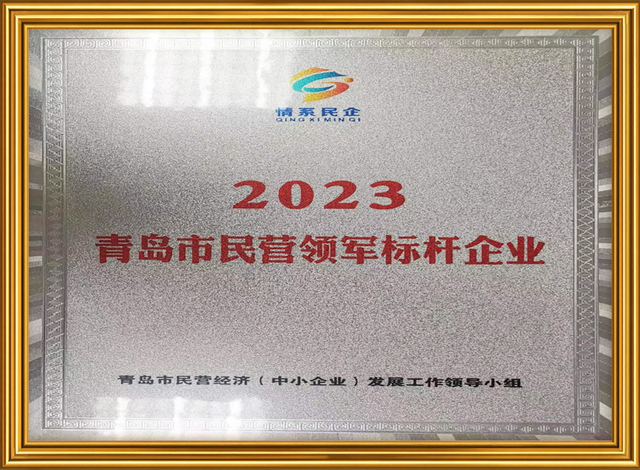Business Qualifications for Professional Boat Manufacturer